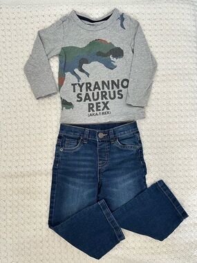 Toddler 3T Set Gray Long-Sleeve Dinosaur TRex Shirt Adjustable Jeans Straight
